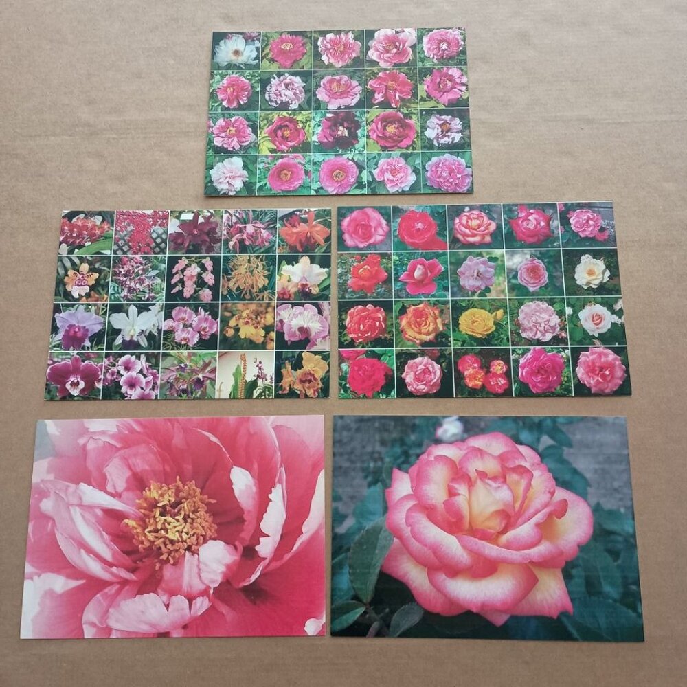 set of 5 flowers postcards rose, orchid, peony